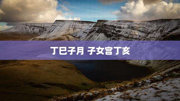 丁巳子月 子女宫丁亥