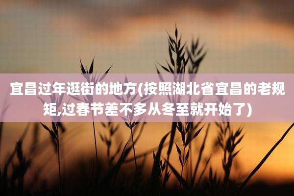 宜昌过年逛街的地方(按照湖北省宜昌的老规矩,过春节差不多从冬至就开始了)