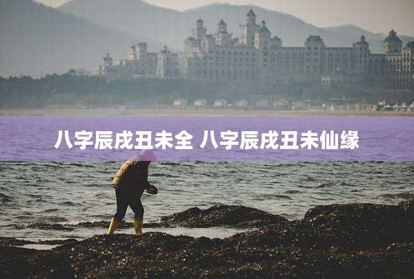 八字辰戌丑未全 八字辰戌丑未仙缘