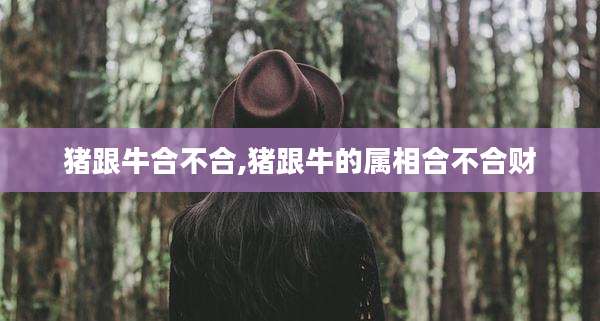 猪跟牛合不合,猪跟牛的属相合不合财