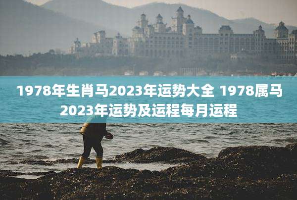 1978年生肖马2023年运势大全 1978属马2023年运势及运程每月运程