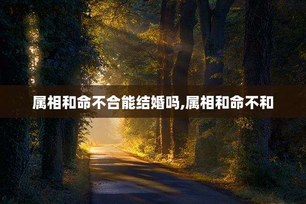 属相和命不合能结婚吗,属相和命不和