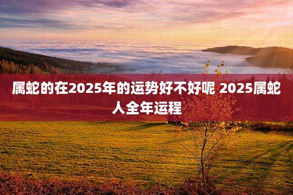 属蛇的在2025年的运势好不好呢 2025属蛇人全年运程