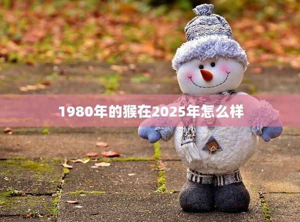 1980年的猴在2025年怎么样