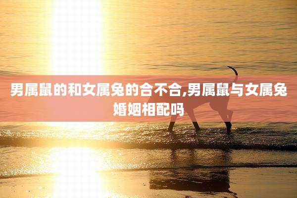 男属鼠的和女属兔的合不合,男属鼠与女属兔婚姻相配吗