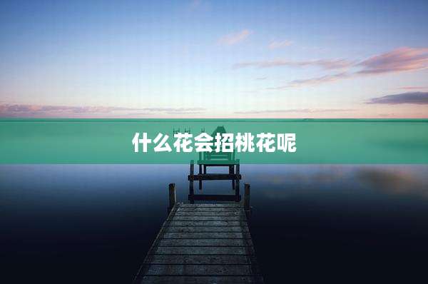 什么花会招桃花呢