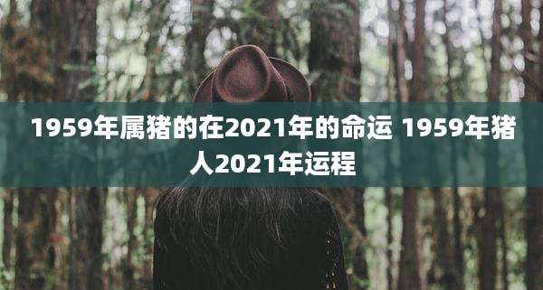 1959年属猪的在2021年的命运 1959年猪人2021年运程