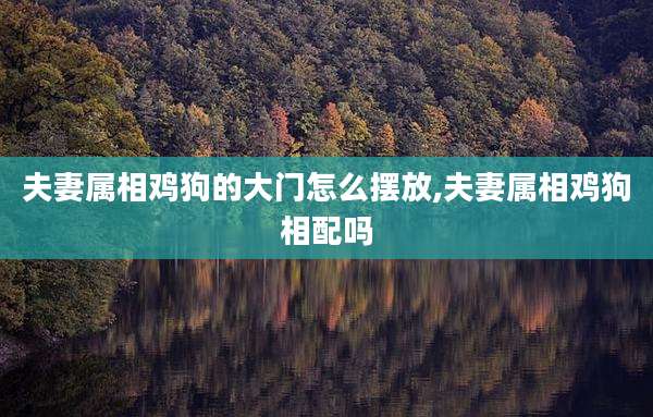 夫妻属相鸡狗的大门怎么摆放,夫妻属相鸡狗相配吗