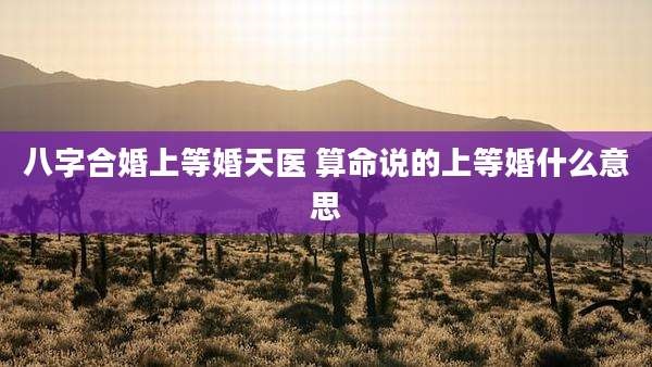 八字合婚上等婚天医 算命说的上等婚什么意思