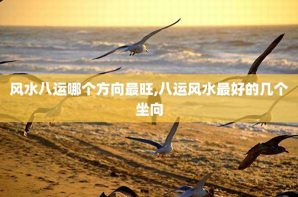 风水八运哪个方向最旺,八运风水最好的几个坐向