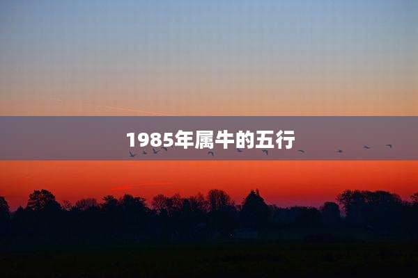 1985年属牛的五行