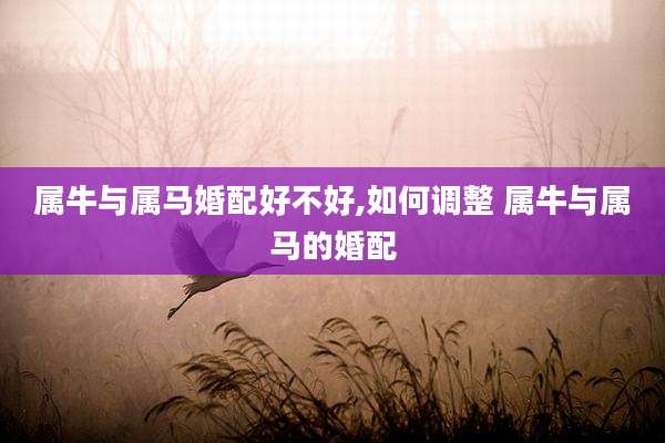 属牛与属马婚配好不好,如何调整 属牛与属马的婚配