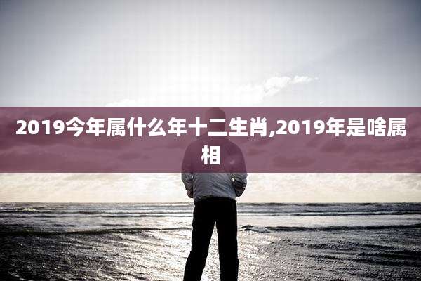 2019今年属什么年十二生肖,2019年是啥属相