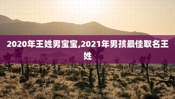 2020年王姓男宝宝,2021年男孩最佳取名王姓