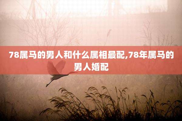78属马的男人和什么属相最配,78年属马的男人婚配