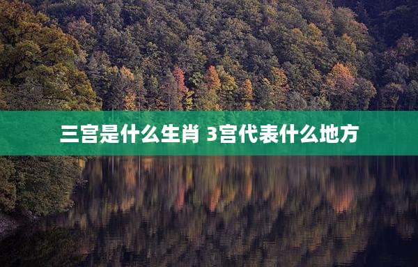 三宫是什么生肖 3宫代表什么地方