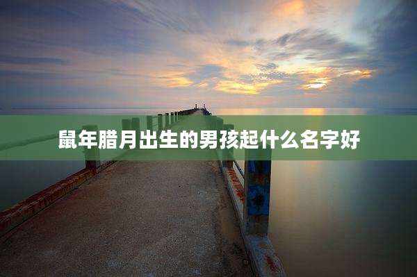 鼠年腊月出生的男孩起什么名字好