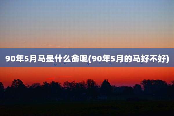 90年5月马是什么命呢(90年5月的马好不好)