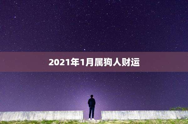 2021年1月属狗人财运