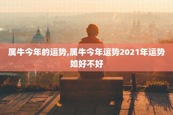 属牛今年的运势,属牛今年运势2021年运势如好不好