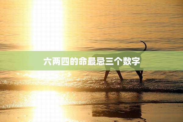六两四的命最忌三个数字