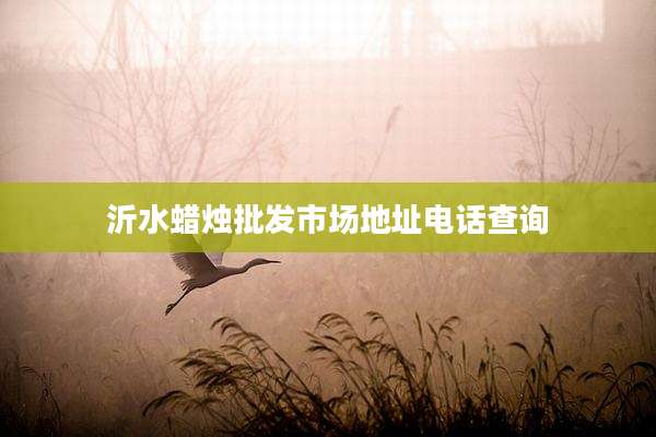 沂水蜡烛批发市场地址电话查询