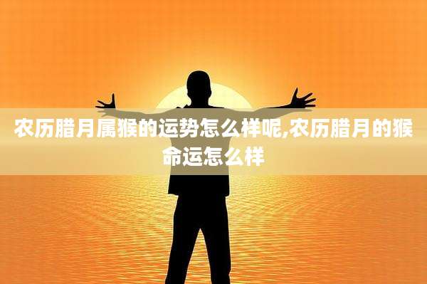 农历腊月属猴的运势怎么样呢,农历腊月的猴命运怎么样