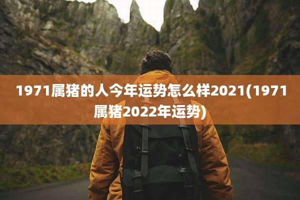 1971属猪的人今年运势怎么样2021(1971属猪2022年运势)