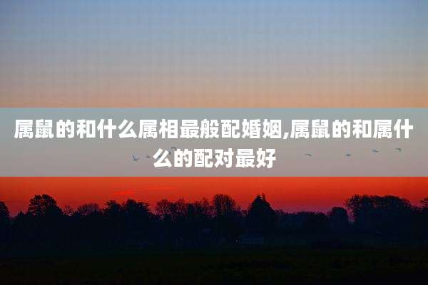 属鼠的和什么属相最般配婚姻,属鼠的和属什么的配对最好