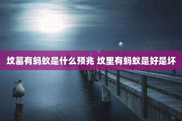 坟墓有蚂蚁是什么预兆 坟里有蚂蚁是好是坏