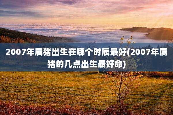 2007年属猪出生在哪个时辰最好(2007年属猪的几点出生最好命)