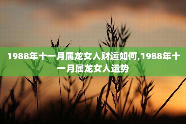 1988年十一月属龙女人财运如何,1988年十一月属龙女人运势