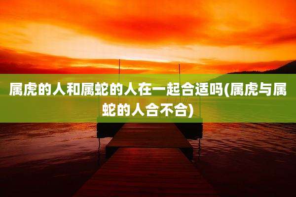 属虎的人和属蛇的人在一起合适吗(属虎与属蛇的人合不合)