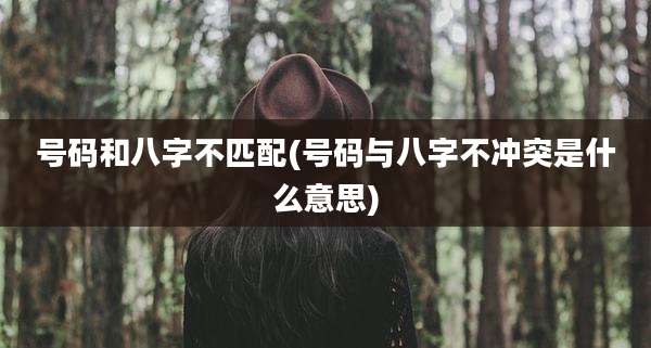 号码和八字不匹配(号码与八字不冲突是什么意思)