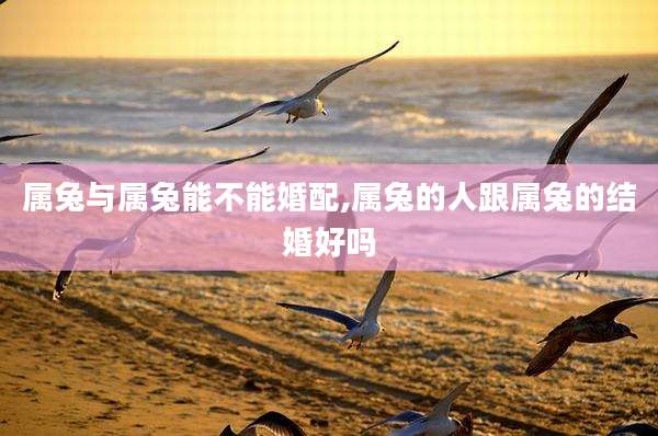 属兔与属兔能不能婚配,属兔的人跟属兔的结婚好吗