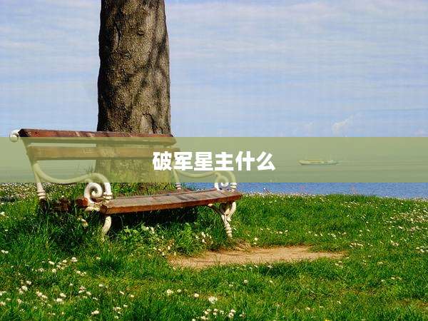 破军星主什么