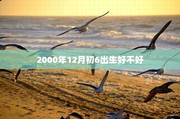 2000年12月初6出生好不好