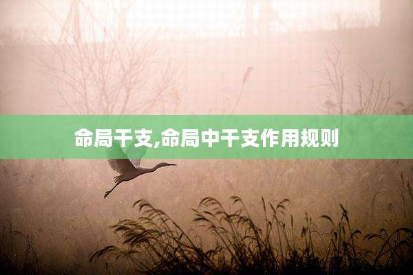 命局干支,命局中干支作用规则
