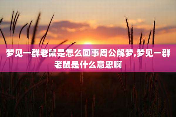 梦见一群老鼠是怎么回事周公解梦,梦见一群老鼠是什么意思啊
