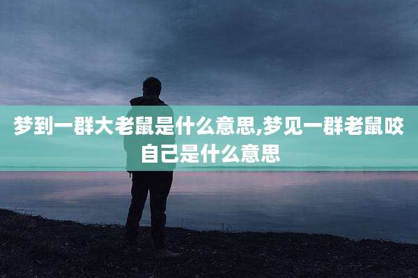 梦到一群大老鼠是什么意思,梦见一群老鼠咬自己是什么意思