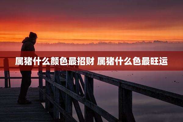 属猪什么颜色最招财 属猪什么色最旺运