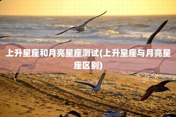 上升星座和月亮星座测试(上升星座与月亮星座区别)