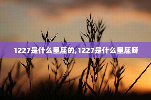 1227是什么星座的,1227是什么星座呀