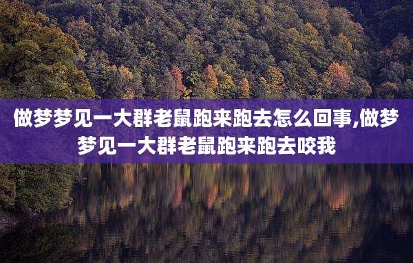 做梦梦见一大群老鼠跑来跑去怎么回事,做梦梦见一大群老鼠跑来跑去咬我