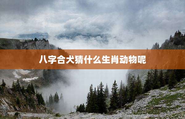 八字合犬猜什么生肖动物呢