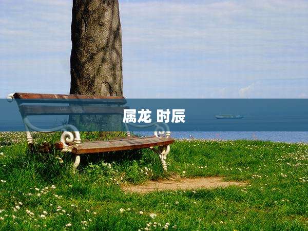 属龙 时辰
