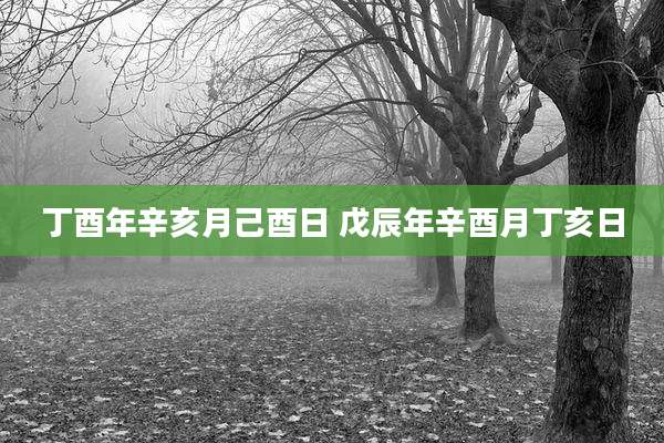 丁酉年辛亥月己酉日 戊辰年辛酉月丁亥日