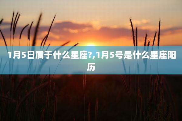 1月5日属于什么星座?,1月5号是什么星座阳历