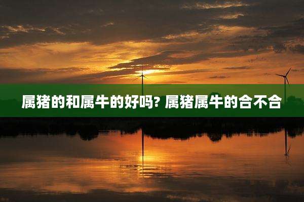 属猪的和属牛的好吗? 属猪属牛的合不合