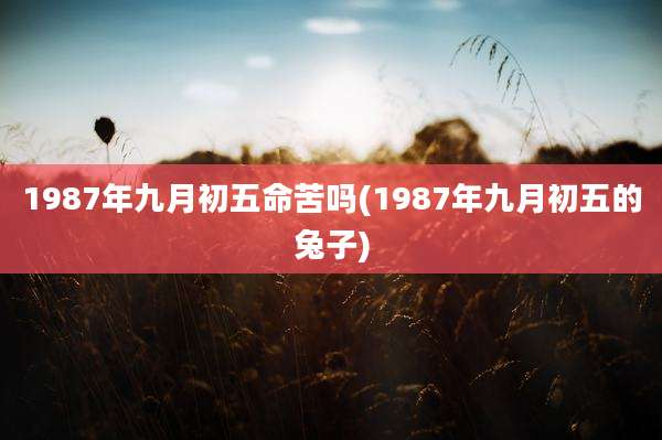 1987年九月初五命苦吗(1987年九月初五的兔子)